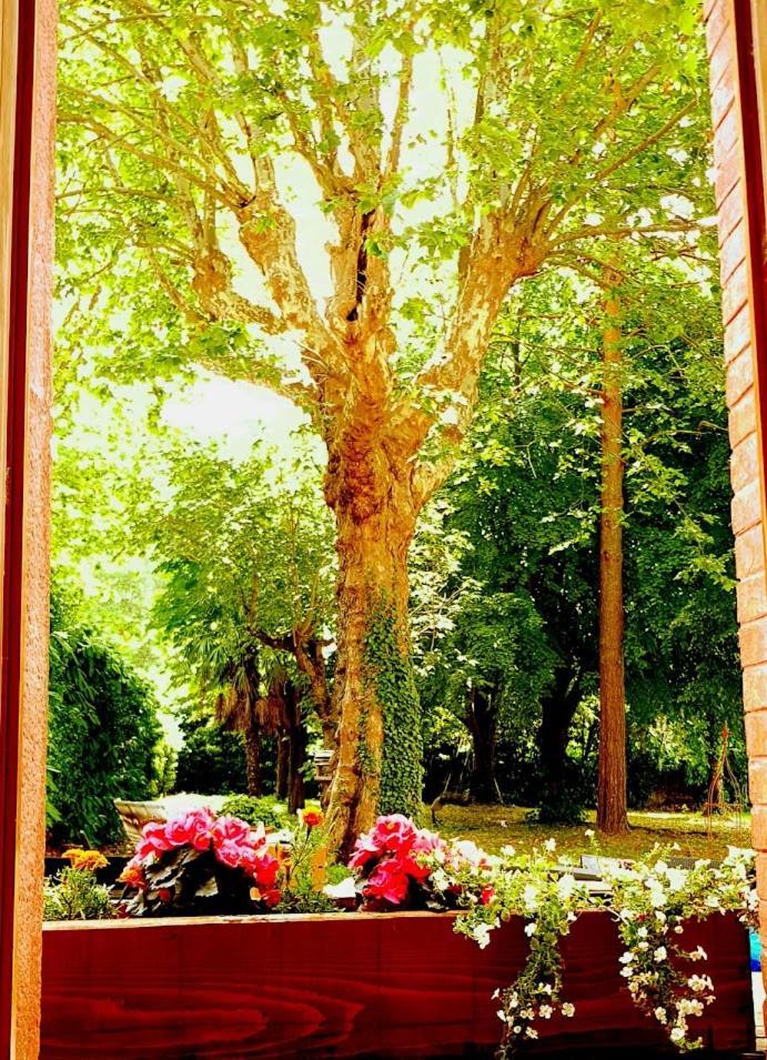 La Scierie Bed & Breakfast Quillan Exterior photo